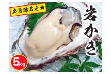鹿島灘名産★天然岩牡蠣（約5kg）（KBL-9）