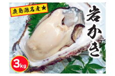 鹿島灘名産★天然岩牡蠣（約3kg）（KBL-8）