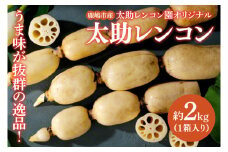 【先行予約】【奇跡のレンコン】茨城県鹿嶋市産 太助レンコン 約2kg 【れんこん 根菜 蓮根 れん根 2キロ 10000円以内 1万円以内】（KBU-1）