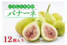 【数量限定】【7月～９月発送】いちじく大野村 (バナーネ) 12個入 フルーツ　果物（KAE-4）