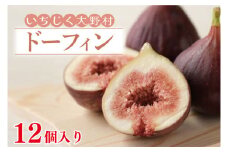 【数量限定】【7月上旬～11月発送】いちじく大野村(ドーフィン) 12個入 フルーツ果物（KAE-5）