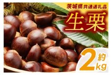 【先行予約】【9月下旬より発送】【茨城県共通返礼品】生栗 2kg （牛久市・常陸大宮市・つくばみらい市・大子町・美浦村産）（KCM-25）