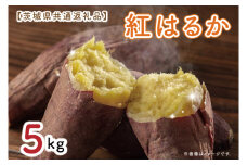 【先行予約】【茨城県共通返礼品】さつまいも　紅はるか 5kg（水戸市・ひたちなか市・鹿嶋市・行方市・大洗町産）（KCM-17）