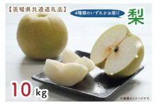 【先行予約】【9月上旬より発送開始！】【茨城県共通返礼品】梨 10kg（結城市、城里町、水戸市産）（KCM-16）