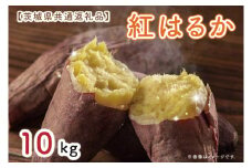 【先行予約】【茨城県共通返礼品】さつまいも　紅はるか 10kg（水戸市・ひたちなか市・鹿嶋市・行方市・大洗町産）（KCM-18）