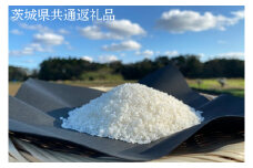 【先行予約】【できるだけ農薬を減らした】R7年産 マキタ超こしひかり 白米5kg【茨城県共通返礼品・行方市産】【 お米 米　白米マキタ 減農薬 安心  鹿嶋市】（KBE-83）