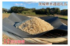 【先行予約】【12ヶ月定期便】【できるだけ農薬を減らした】R7年産 マキタ超こしひかり 玄米10kg×12回【茨城県共通返礼品・行方市産】【お米 米コメマキタ 減農薬 安心   鹿嶋市】（KBE-82）
