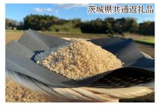 【先行予約】【できるだけ農薬を減らした】R7年産 マキタ超こしひかり 玄米10kg【茨城県共通返礼品・行方市産】【おいしい お米 マキタ 減農薬 安心 げんまい  鹿嶋市】（KBE-79）