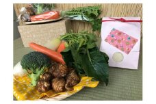 ＼先行予約／【12回定期】【栽培期間農薬不使用】お米(2kg)と野菜セット12ヶ月定期便 【おいしい ごはん やさい セット グルメ 無農薬】（KBE-116）