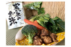 ＼先行予約／【12回定期】【栽培期間農薬不使用】お米(5kg)と野菜セット12ヶ月定期便 【おいしい ごはん やさい セット グルメ 無農薬】 (KBE-117)