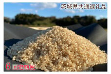 【先行予約】【6ヶ月定期便】【栽培期間農薬不使用】R7年産 マキタ超こしひかり 玄米5kg×6回【茨城県共通返礼品・行方市産】【おいしい お米 マキタ 減農薬 安心  鹿嶋市】（KBE-93）