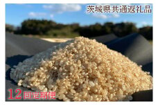 【先行予約】【12ヶ月定期便】【栽培期間農薬不使用】R7年産 マキタ超こしひかり 玄米10kg×12回【茨城県共通返礼品・行方市産】【おいしい お米 マキタ 減農薬 安心  鹿嶋市】(KBE-98）
