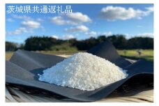 【先行予約】【栽培期間農薬不使用】R7年産 マキタ超こしひかり 白米10kg【茨城県共通返礼品・行方市産】【 お米　米　白米　 マキタ 減農薬 安心  鹿嶋市】（KBE-103）
