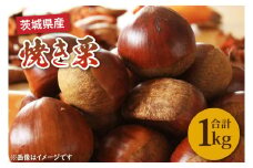 【先行予約】【10月下旬より発送】焼き栗（茨城県産）【栗 くり マロン 焼き栗 低温熟成 茨城県 15000円以内 】（KCM-26）