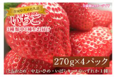【先行予約】【1月中旬～3月中旬発送】【茨城県共通返礼品】いちご（とちおとめ・やよいひめ・いばらキッスのいずれか1種）270g×4パック（KCM-23）