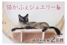 鹿嶋市の癒しの空間　猫カフェでまったり　猫かふぇジュエリー　１時間利用券セット　２名様 （KCS-2）