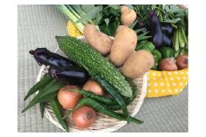 【栽培期間農薬不使用】季節の野菜ハーフセット （KBE-113）