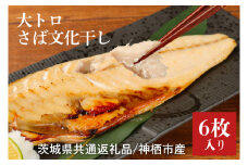 【茨城県共通返礼品】神栖市産 大トロさば文化干し １枚真空6パック （KCV-1）