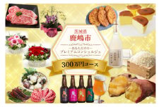 あなただけの～プレミアム コンシェルジュコース～(300万円)（ZY-10）