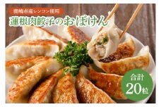 【お試しサイズ】蓮根肉餃子のおばけん【20粒】【野菜 ギョーザ れんこん しゃきしゃき おいしい 食べきり 茨城県 鹿嶋市】（KBU-19）