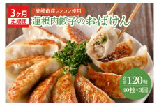 【3ヶ月定期便】蓮根肉餃子のおばけん【40粒×3回】【野菜 ギョーザ れんこん しゃきしゃき おいしい ストック 茨城県 鹿嶋市】（KBU-25）