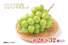【数量限定！】【先行予約】【シャインマスカット粒どり】ぶどうの宝石箱 【シャインマスカット 粒どり 茨城県 鹿嶋市 葡萄 ブドウ】（KAE-6）