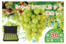 【先行予約】シャインマスカット1箱36粒【数量限定 葡萄 ブドウ フルーツ 果物 くだもの マスカット 種無し 鹿嶋市 茨城県】（KBT-5B）