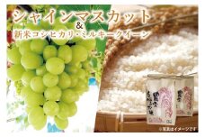 新米コシヒカリ2kg･ミルキークイーン2kg/シャインマスカット2房【期間限定 数量限定 葡萄 ブドウ フルーツ 新米 こしひかり お米 セット 鹿嶋市 茨城県】(KBT-2B)