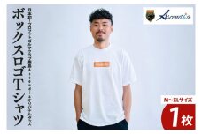 日本初！プロフットゴルフクラブ鹿島Ascendia オリジナルグッズ（ボックスロゴTシャツ）【 スポーツ サッカー ゴルフ ロゴＴシャツ グッズ 茨城県 鹿嶋市】（KDB-6）