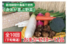 【発送月固定定期便】栽培期間中農薬不使用『身体が喜ぶ野菜』おまかせ10～12品（下旬発送）全10回 【新鮮 やさい ベジタブル 安心 安全 おいしい ランダム】（KBE-115）
