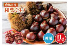 【数量★期間限定】なくなり次第終了！【鹿嶋市産】和栗（生） 500g×2袋 計1kg 【くり マロン ほくほく なまぐり 1キロ 10000円以下 栗ごはん モンブラン】（KBP-6）