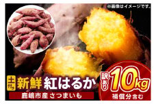 【先行予約】【2025年10月以降発送】【訳あり】 紅はるか さつまいも 計 約10kg (8kg+約25%補償分) 新鮮 土付き【サツマイモ 紅はるか 茨城県 鹿嶋市 10000円以下】（KAM-24）