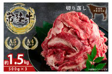 最高級常陸牛 切り落し 約1.5kg（約500ｇ×3)【牛肉 国産牛 黒毛和牛 和牛 国産黒毛和牛 ブランド牛肉 ブランド牛 お肉 A4ランク A5ランク すき焼き すきやき 牛丼 鹿嶋市 鹿嶋 茨城県】(KCW-18)