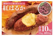 【先行予約】鹿畑ポテト小屋の生さつまいも 紅はるか 計 約10kg（８kg+約25％補償分）【鹿嶋市 減農薬  熟成 貯蔵 サツマイモ 生芋 べにはるか 送料無料 10キロ 15000円以内】 (KBR-11)