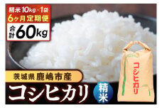 【先行予約】【6ヶ月定期便】コシヒカリ10kg×6回 (精米) 鹿嶋市産【こしひかり 茨城県 鹿嶋市 150000円以内】(KDS-11)