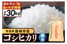 【先行予約】【6ヶ月定期便】コシヒカリ5kg×6回 (精米) 鹿嶋市産【こしひかり 茨城県 鹿嶋市 80000円以内】(KDS-9)
