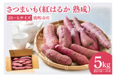 【先行予約】【訳あり】完熟高糖度 さつまいも（紅はるか）約5kg（サイズ：2S～L）【熟成 サツマイモ 焼き芋 訳あり 訳あり キュアリング 茨城県 鹿嶋市産】【2025年12月～順次発送】（KDV-002）