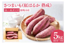 【先行予約】【訳あり】完熟高糖度 さつまいも（紅はるか）約5kg（サイズ：2L～4L）【熟成 サツマイモ 焼き芋 キュアリング 茨城県 鹿嶋市産】【2025年12月～順次発送】（KDV-001）