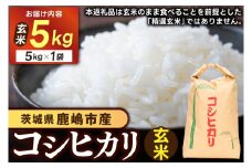 【先行予約】 茨城県 鹿嶋市産 厳選 コシヒカリ 玄米 5kg お米 ブランド米 5キロ (KDS-12)