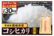 【先行予約】【6ヶ月定期便】 茨城県 鹿嶋市産 厳選 コシヒカリ 玄米 5kg×6回 (KDS-16)