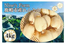 ＼先行予約・数量限定／オーガニック肥料で育てたれんこん 4kg (8月上旬発送開始予定)【茨城県 鹿嶋市 有機栽培 オーガニック レンコン 蓮根 野菜 根菜 産地直送 有機野菜 】（KBJ-2）