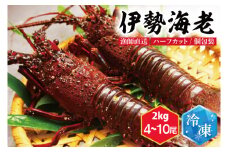 【漁師直送／活〆冷凍】伊勢海老（2kg／4~10本）（KBL-19)
