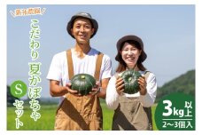新拓農園のこだわり夏かぼちゃSセット 【7月下旬より配送 野菜 やさい カボチャ 1万円以内 10000円以内 ほくほく 甘い おいしい パンプキン 国産 産地直送 期間限定 季節限定 茨城県 鹿嶋市】（KDC-6）