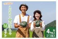 新拓農園のこだわり夏かぼちゃＭセット 【7月下旬より順次配送 野菜 やさい カボチャ 1万円以内 10000円以内 ほくほく 甘い おいしい パンプキン 国産 産地直送 期間限定 季節限定 茨城県 鹿嶋市】（KDC-5）