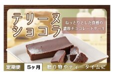 【５ヶ月定期便】テリーヌ　ショコラ 【チョコレート 生クリーム キャラメル バニラ チョコレートケーキ デザート スイーツ 鹿嶋市 茨城県】 （KCX-33）