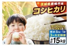 ＼新米先行予約／ 米 精米 こしひかり 5kg 3ヶ月定期便 9月 10月 11月 鹿嶋市産【コシヒカリ お米 コメ ごはん ライス ブランド米 茨城県 鹿嶋市】(KEJ-4)