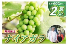 レストランのプロが育てる！鹿嶋市産 昔ながらの「香り高い」ナイアガラ2房 【鹿嶋市 ぶどう】(KAE-13)