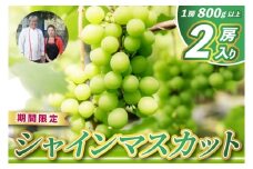 レストランのプロが育てる！鹿嶋市産 シャインマスカット 2房 (大粒800g以上/房) ＜皮ごと食べられる極上ぶどう＞(KAE-15)