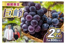 レストランのプロが育てる！鹿嶋市産 ぶどうの王様「巨峰」2房(大粒800g以上/房) (KAE-17)