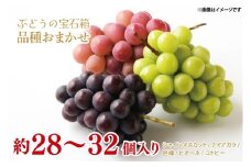 【8月中旬より発送】【先行予約】ぶどうの宝石箱 【巨峰 シャインマスカット コトピー 粒どり 茨城県 鹿嶋市 葡萄 ブドウ】（KAE-18）